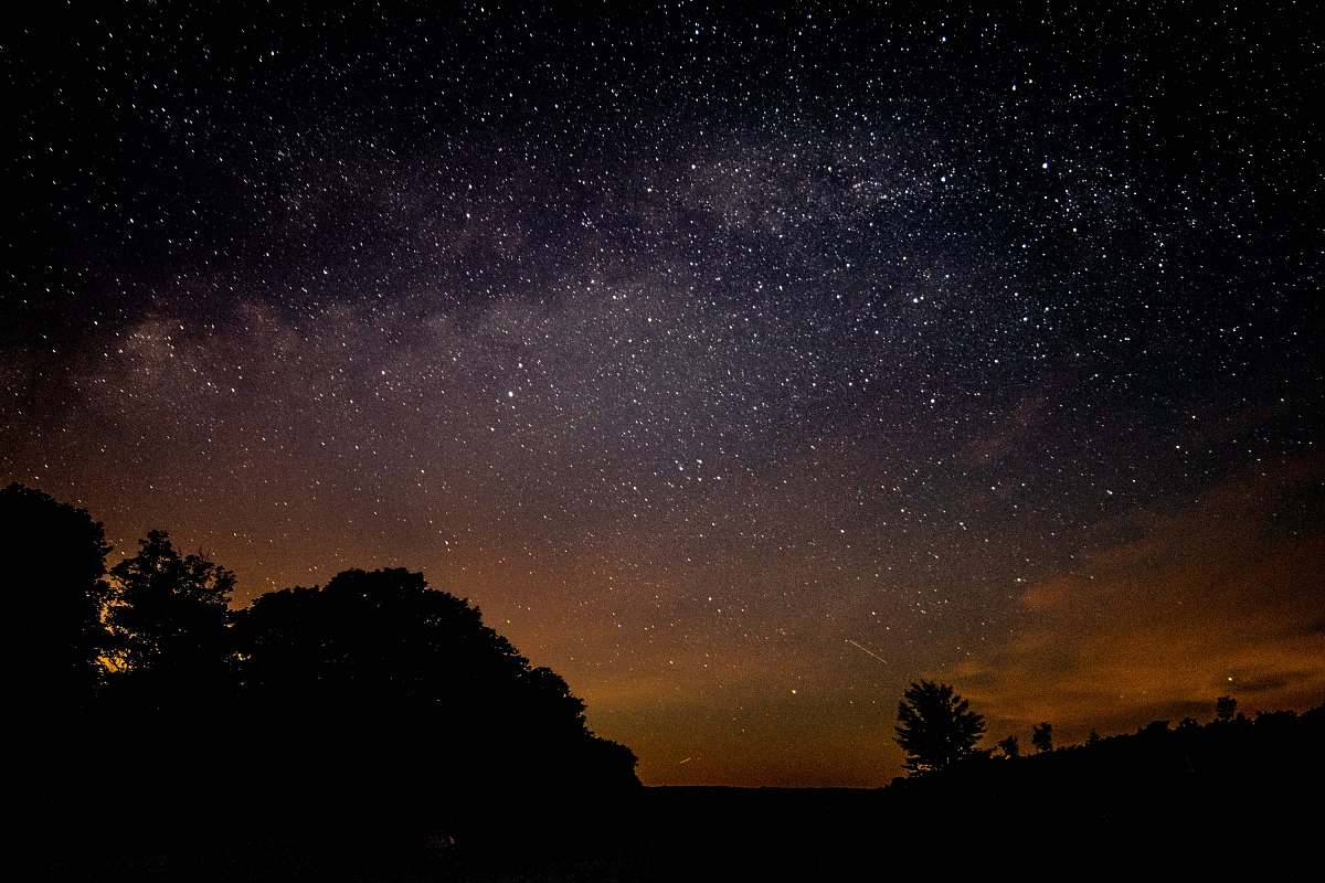 milky way silhouette of trees under stars night